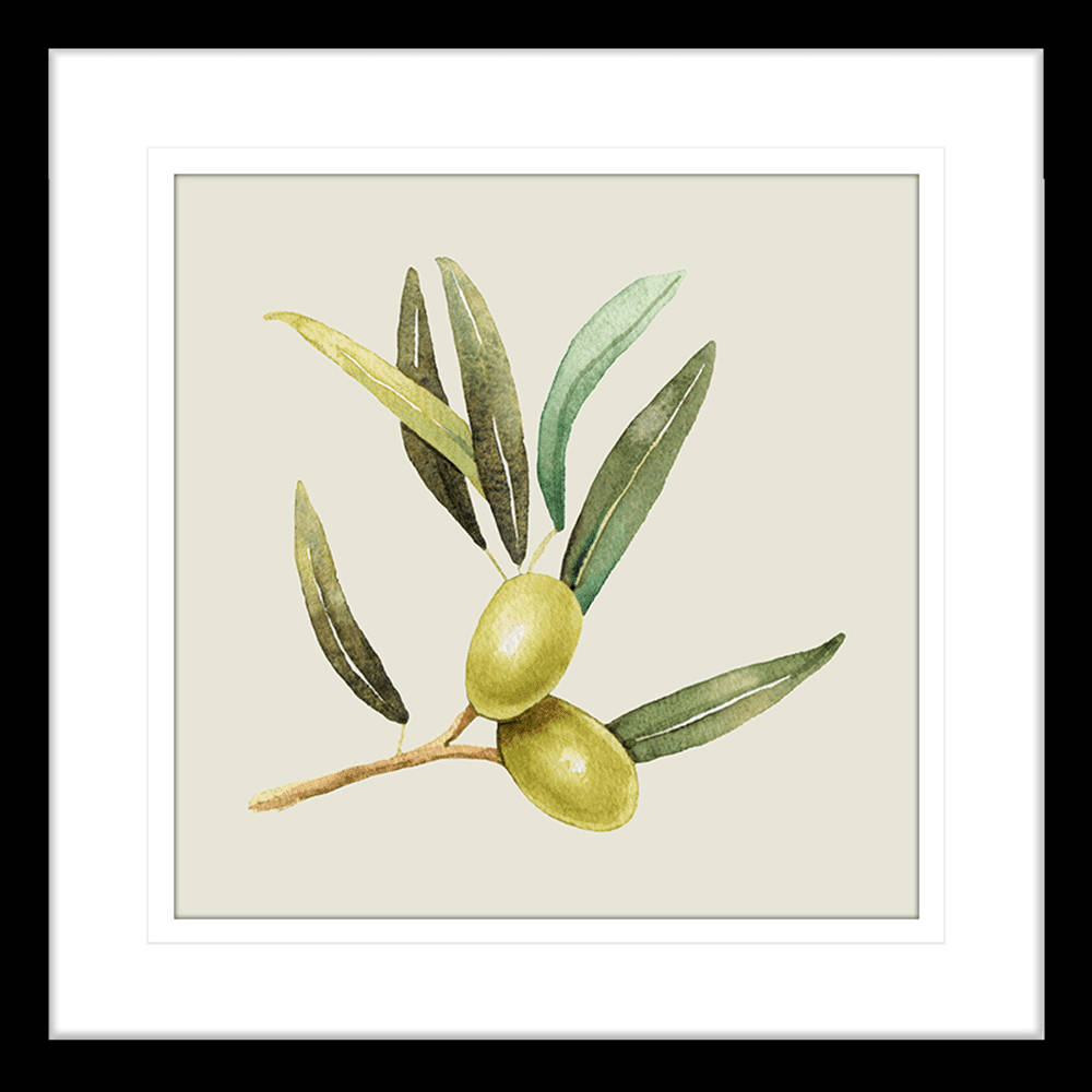 Olive Branch Watercolor Paint Artwork Wallpaper