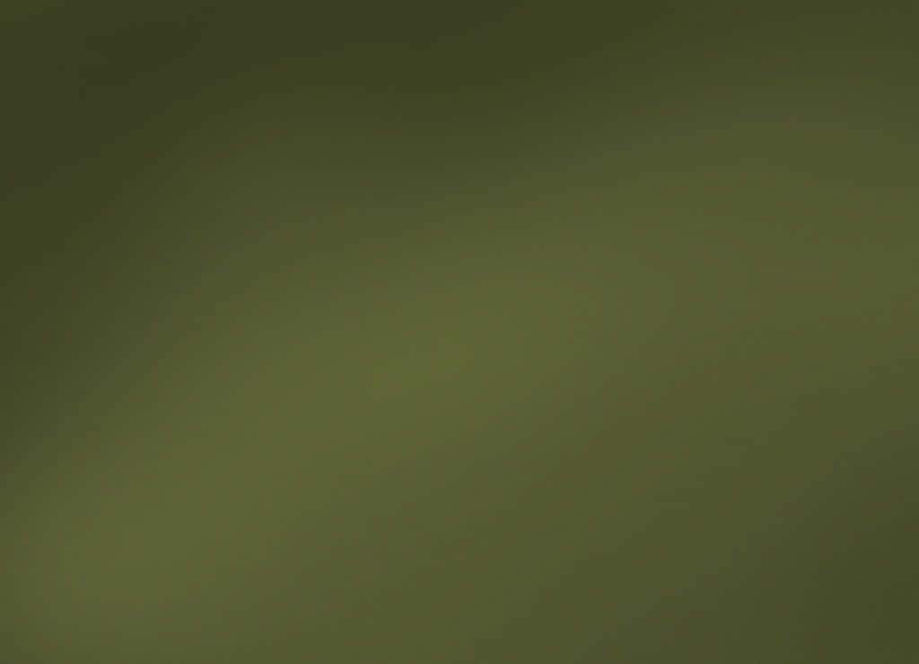 100+] Olive Green Wallpapers