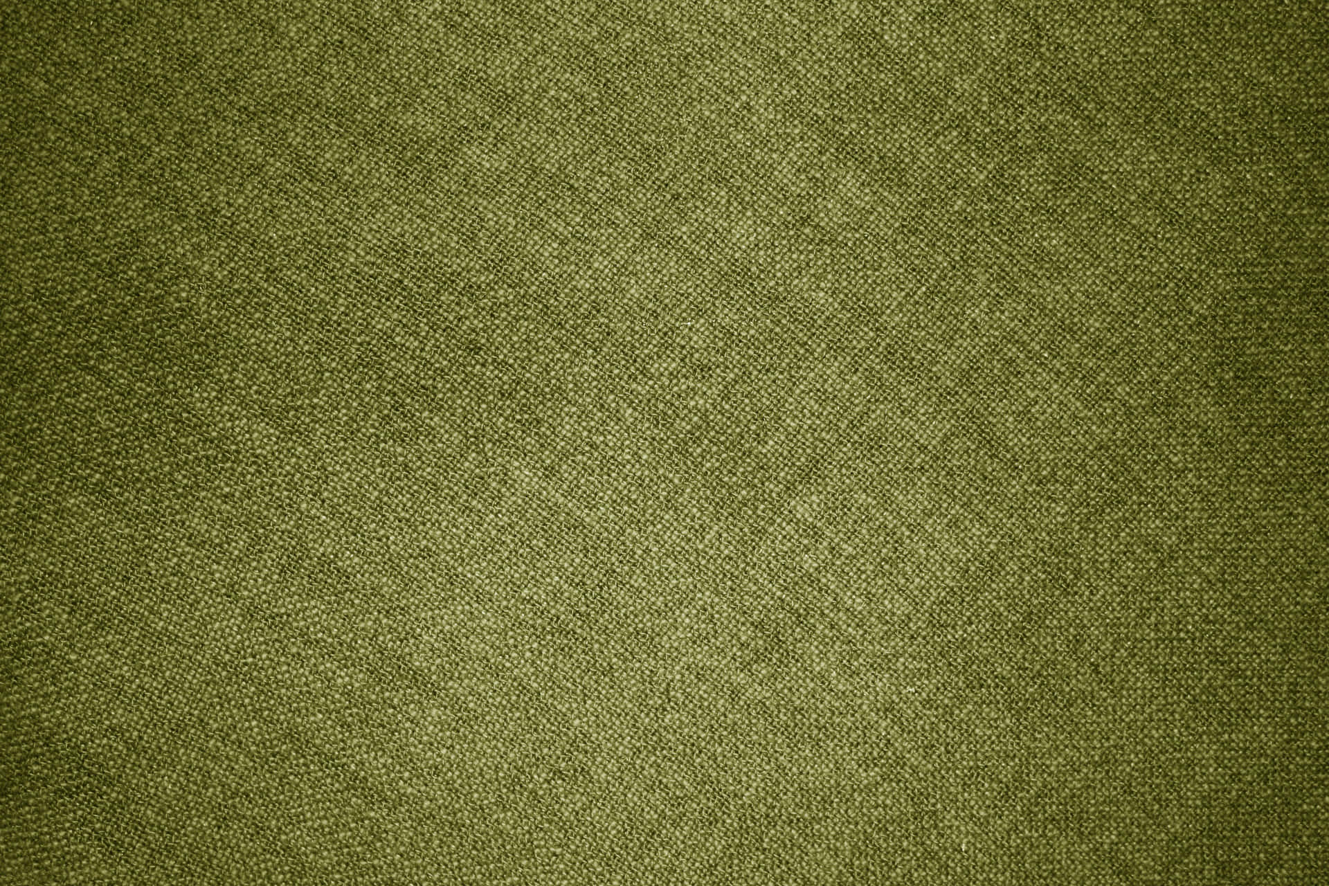 Olive Green 3888 X 2592 Wallpaper Wallpaper
