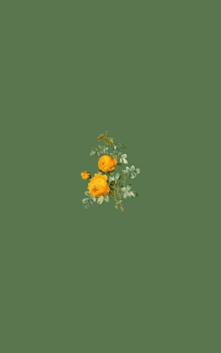 Olive Green Backdropwith Yellow Roses Wallpaper