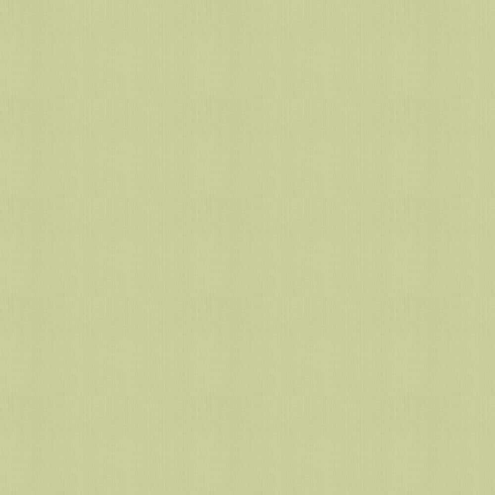 Superleichter Olivegrüner Hintergrund