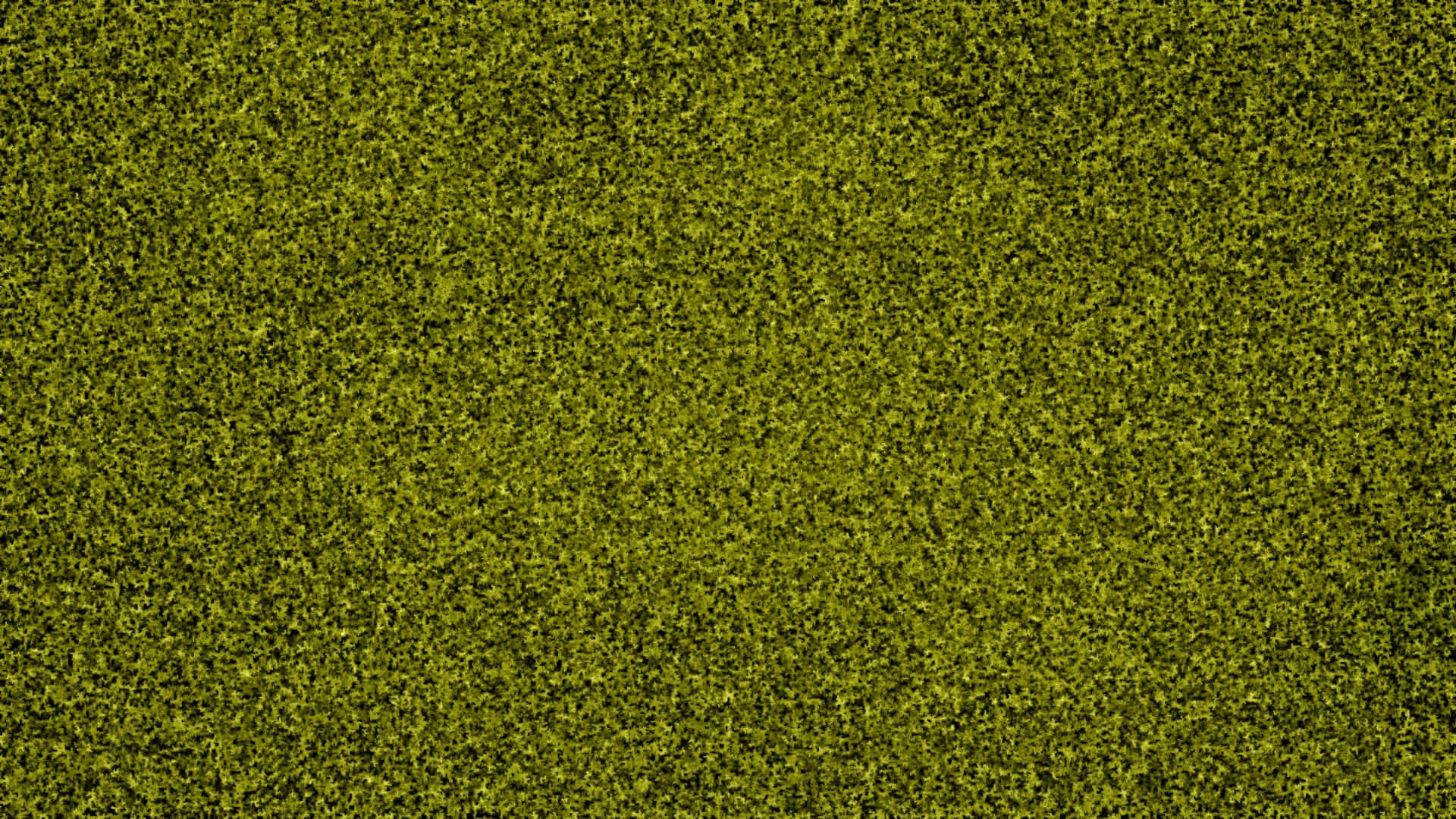 Rough Texture In Olive Green Background