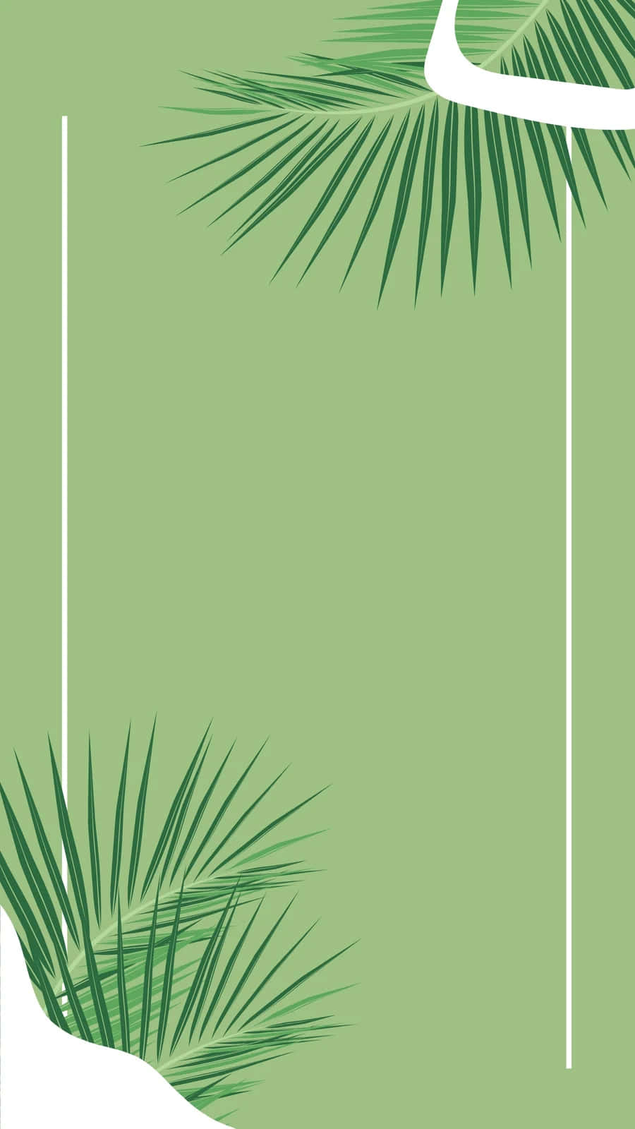 Olive Green Palm Leaves Background Wallpaper
