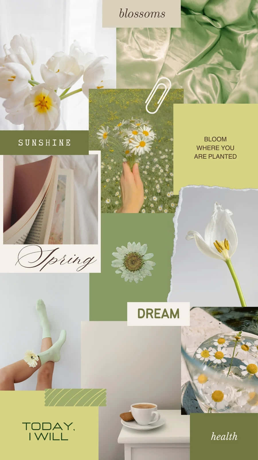 Olive Green Spring Inspiration Collage Wallpaper