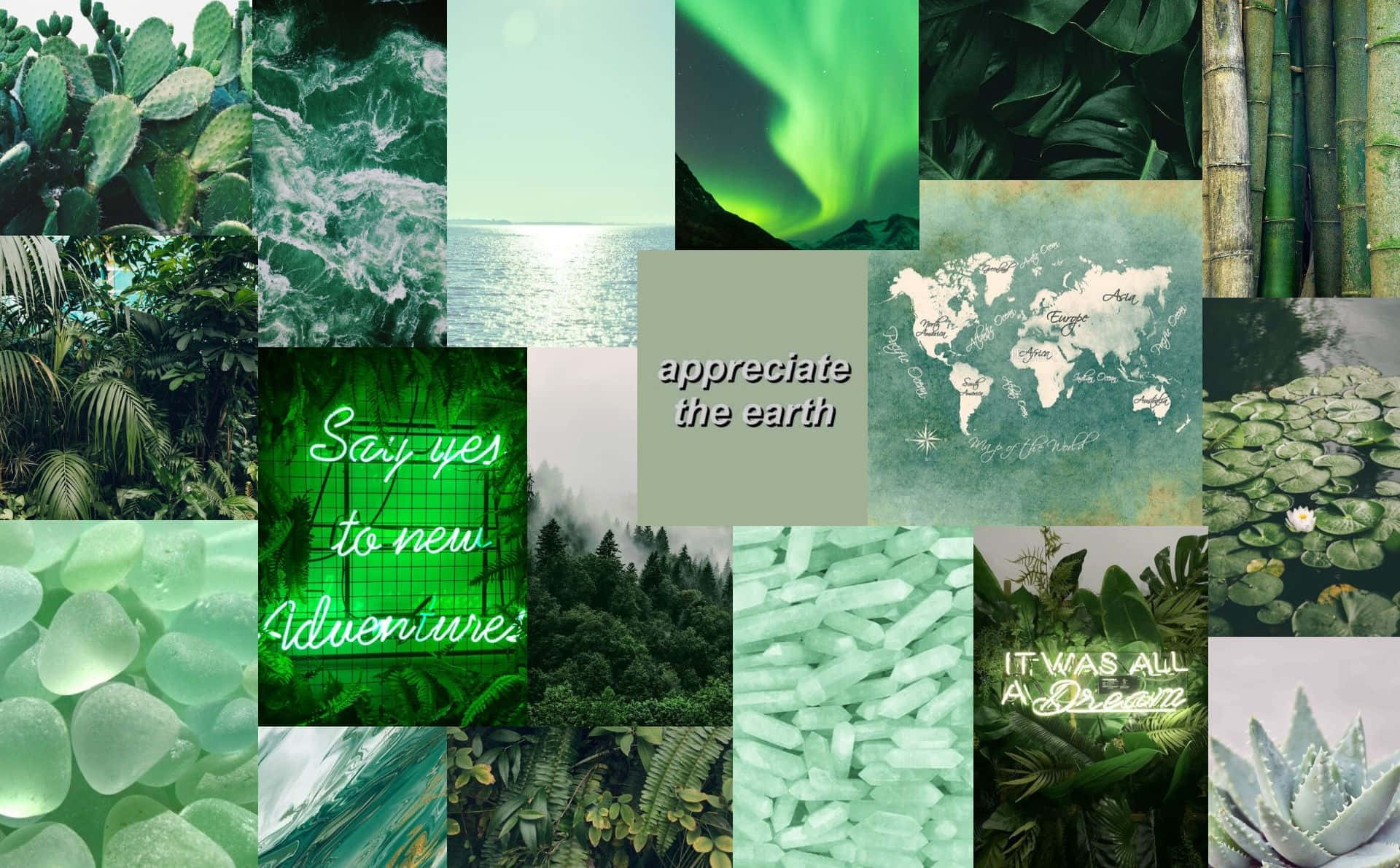 Olive Greenaesthetic Desktop Nature Wallpaper