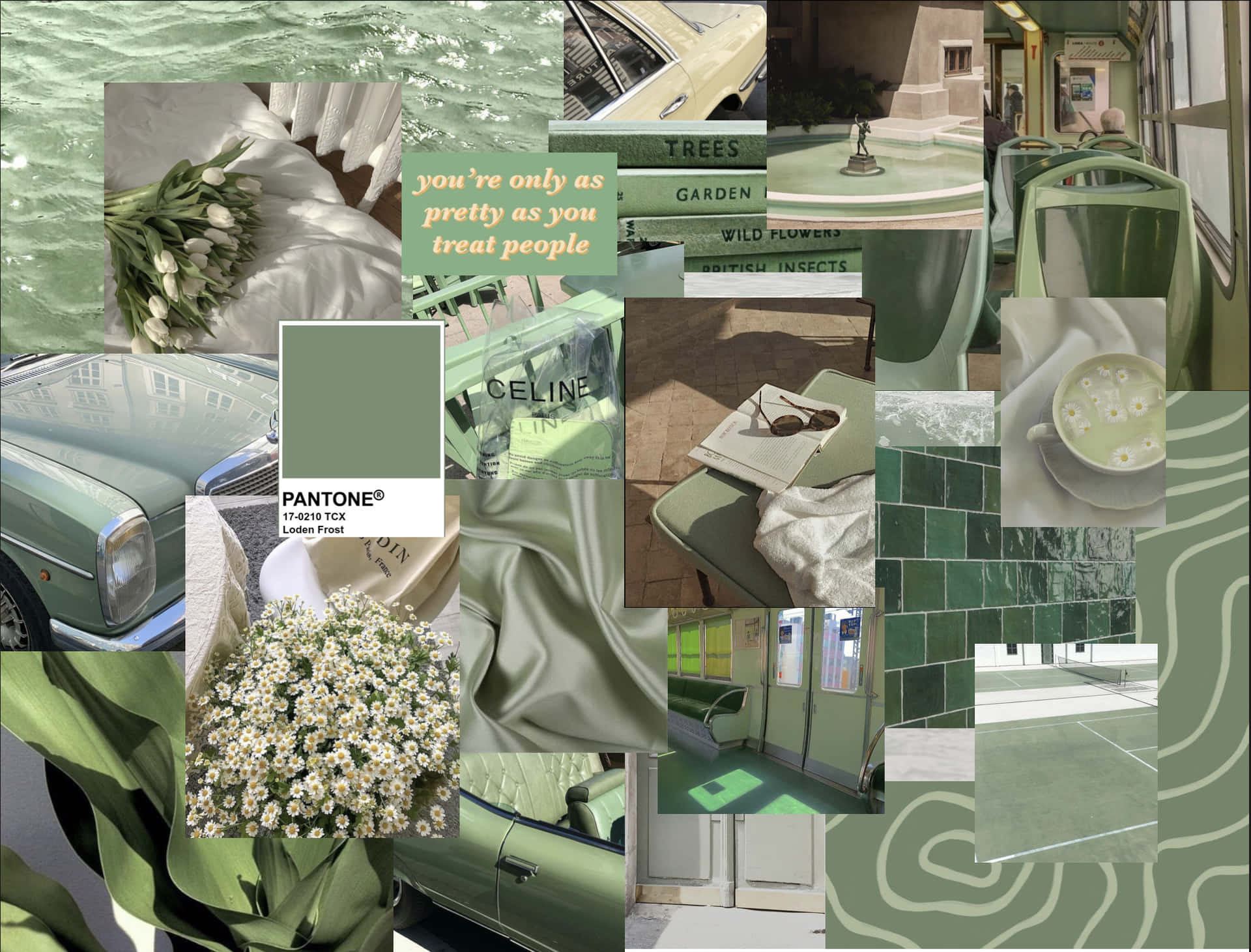 Enveloped In Tranquility: Olive Green Aesthetic Desktop Image Wallpaper