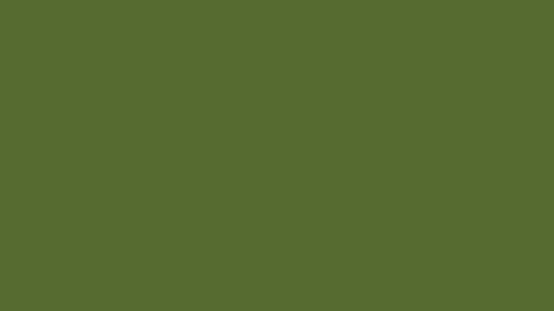 Olivegrüner Ästhetischer Einfarbiger Desktop Wallpaper
