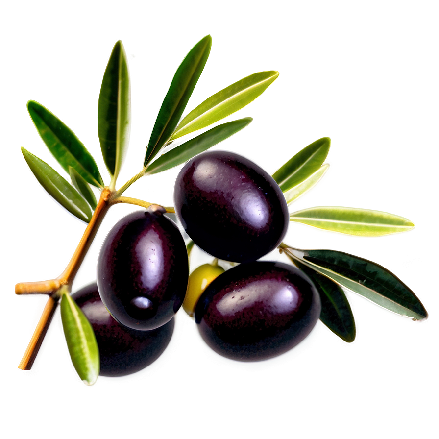 Download Olive Harvest Scene Png Kgq | Wallpapers.com