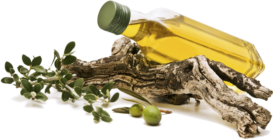 Olive Oil Bottle With Olive Branchand Tree Bark PNG