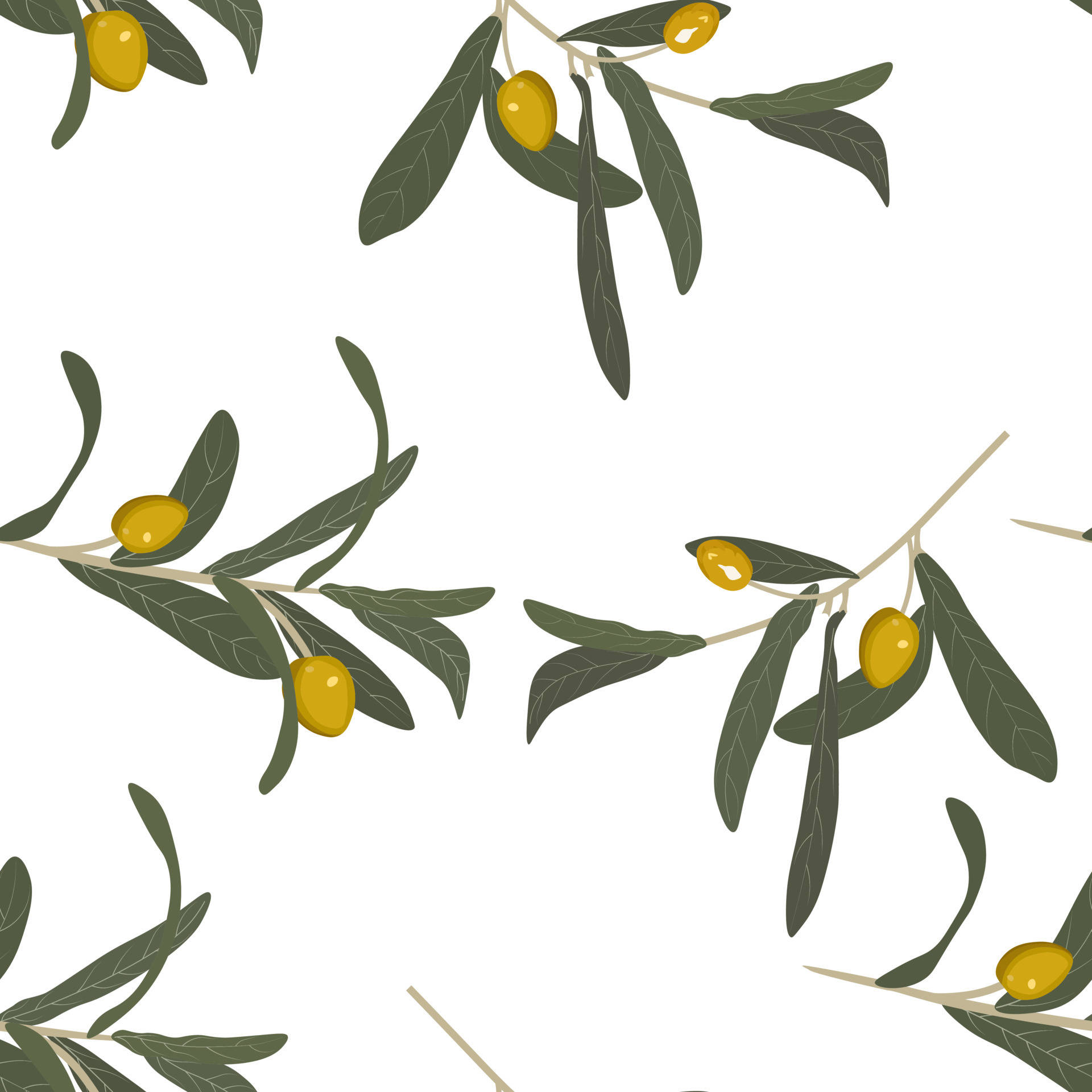 Olive Tree Leaves Texture Wallpaper