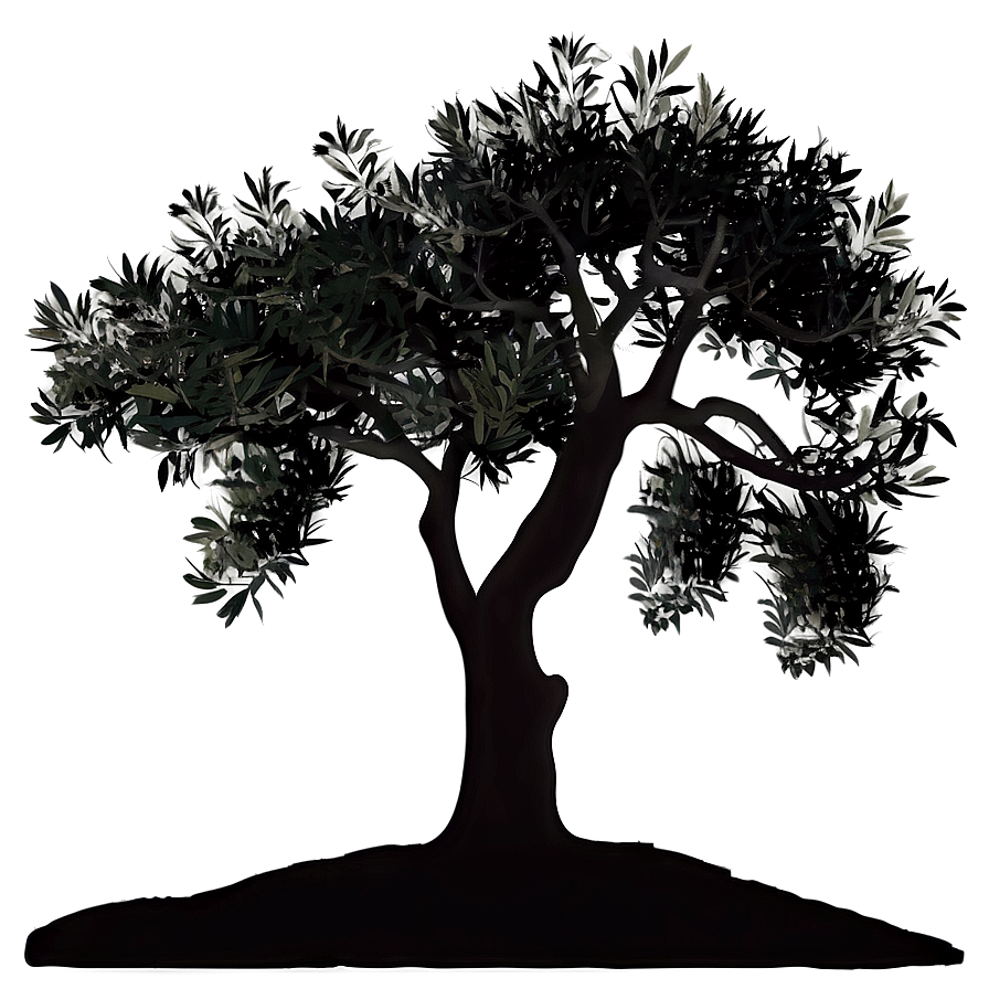 Olive Tree Silhouette Png 72 PNG