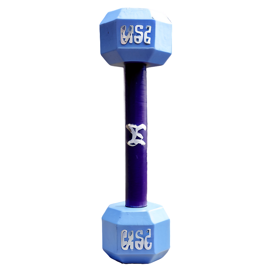 Olympic Standard Dumbbell Png 47 PNG