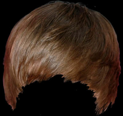 Ombre Hairstyle Back View PNG