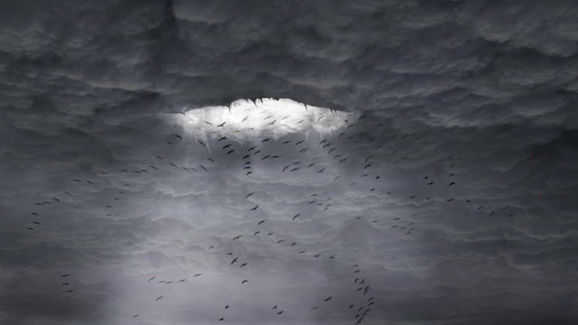 Unheilvollevogelschwarm Am Himmel Wallpaper
