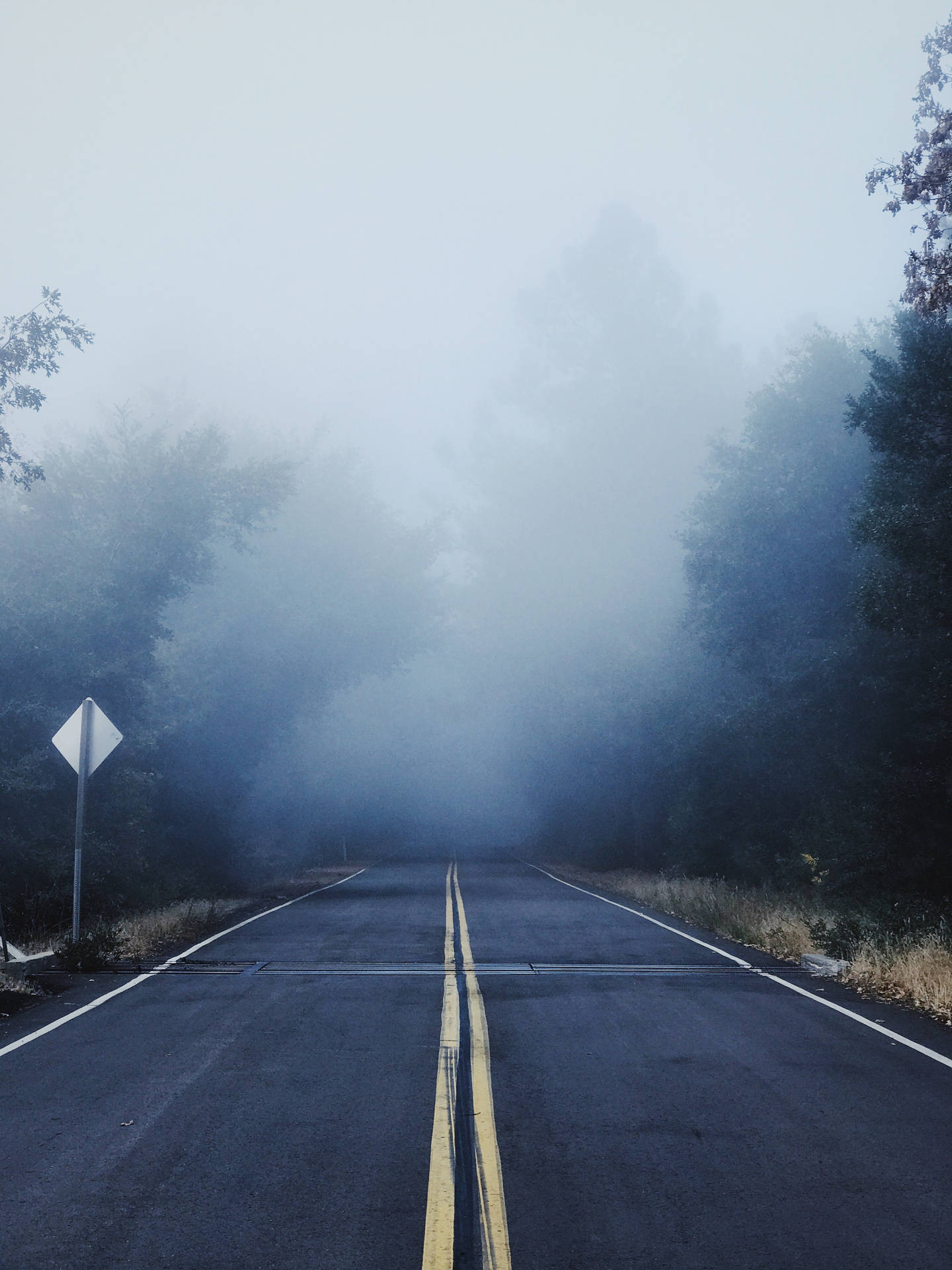Ominous Foggy Road In The Daytime Wallpaper