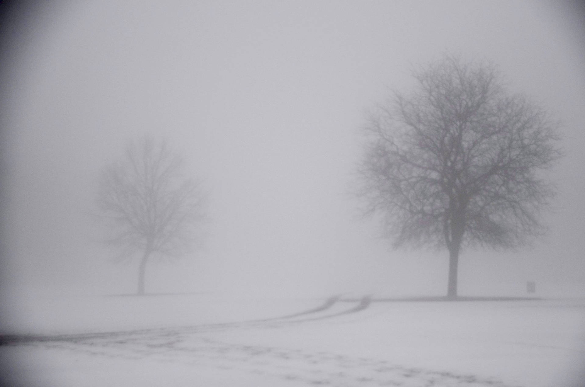 Ominous Foggy Snow-Covered Landscape Wallpaper