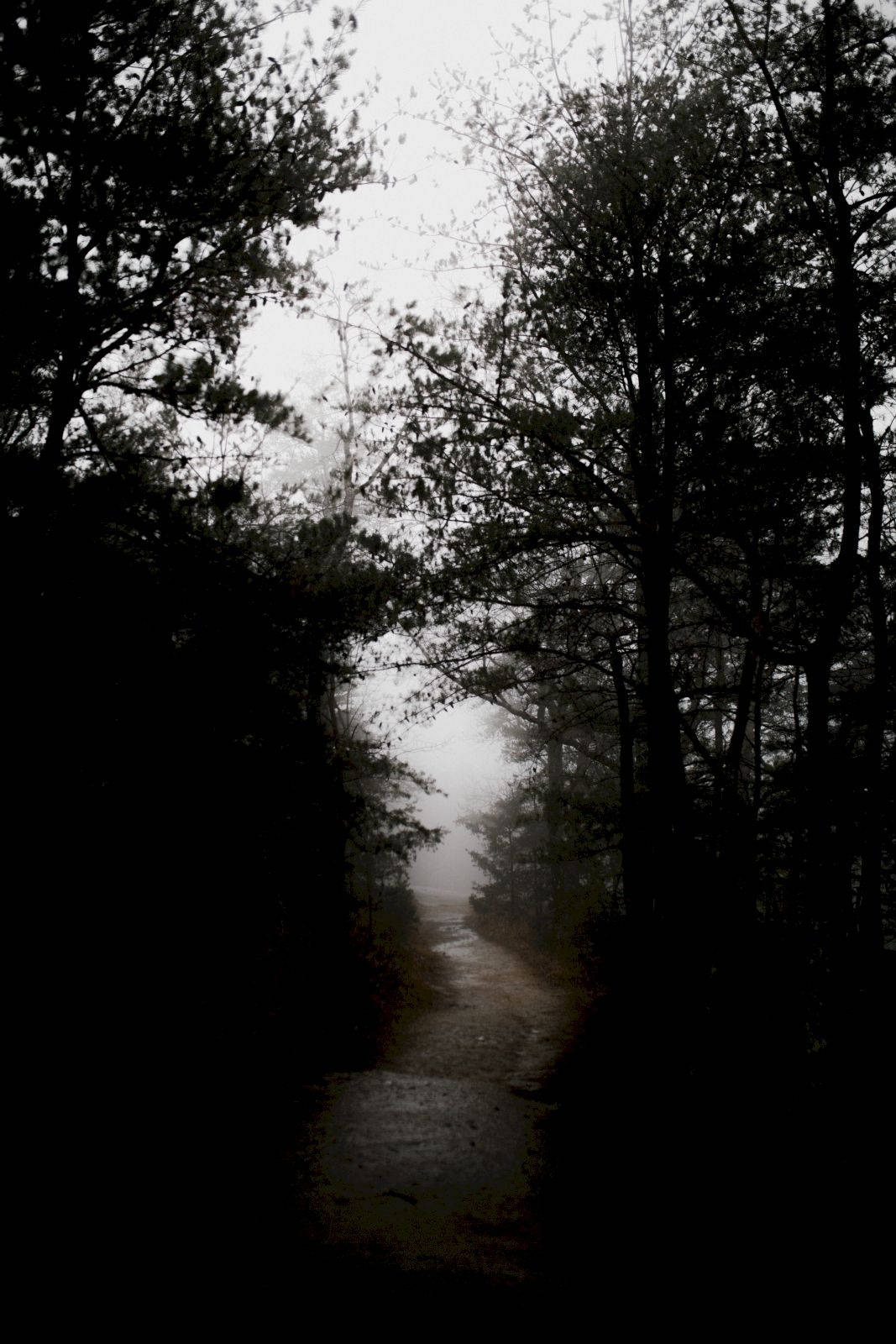 Ominous Path In The Cloudy Day Wallpaper