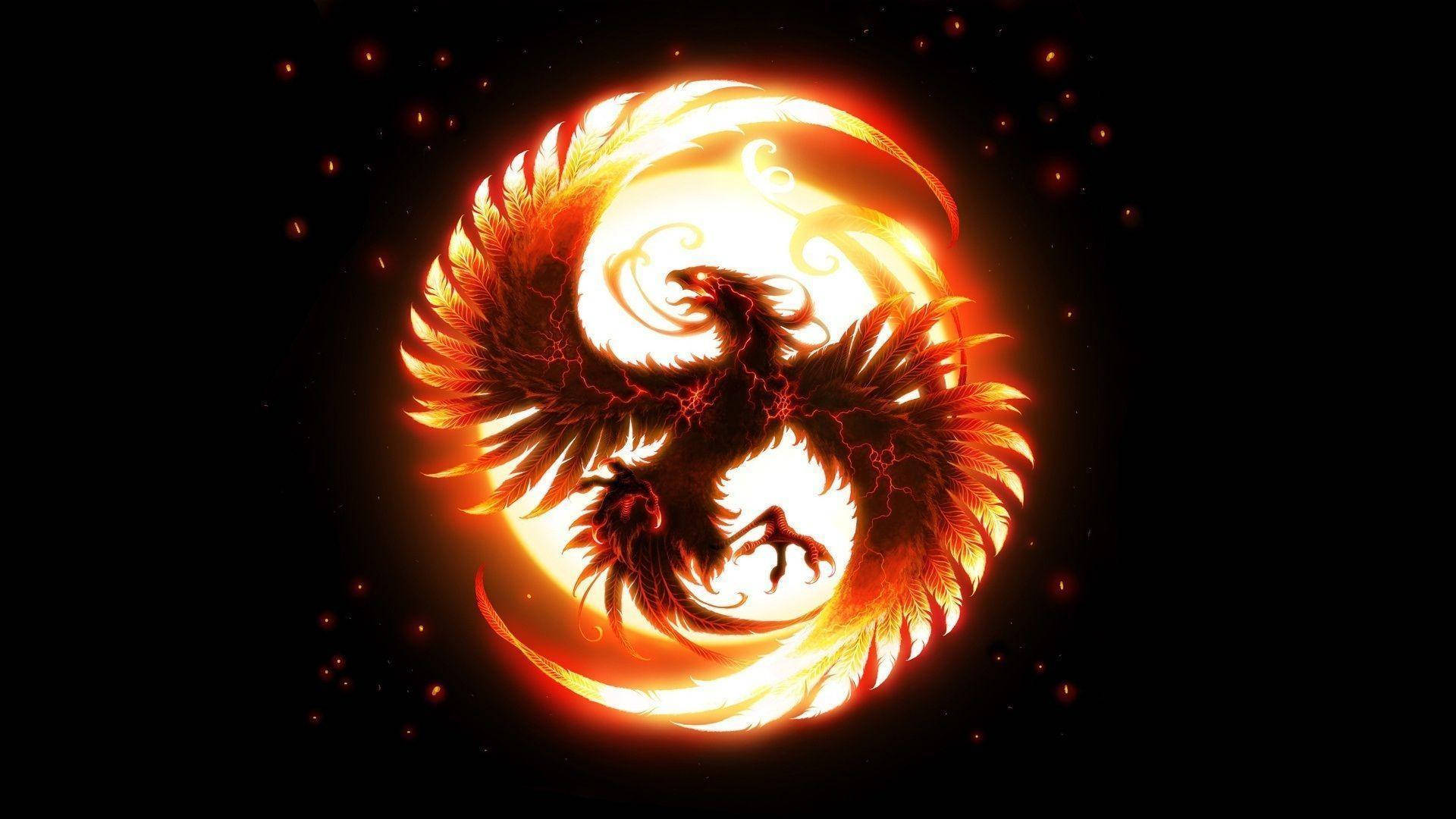 On Fire Bird Logo