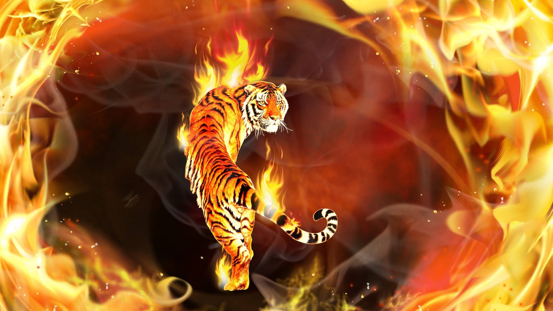 Download On Fire Tiger Wallpaper 