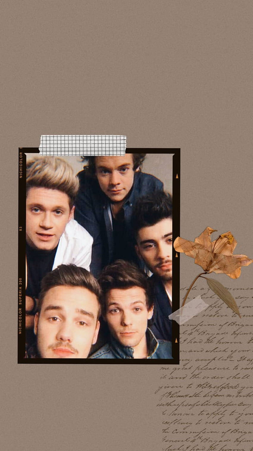 One Direction Aesthetic Pressed Flower Wallpaper