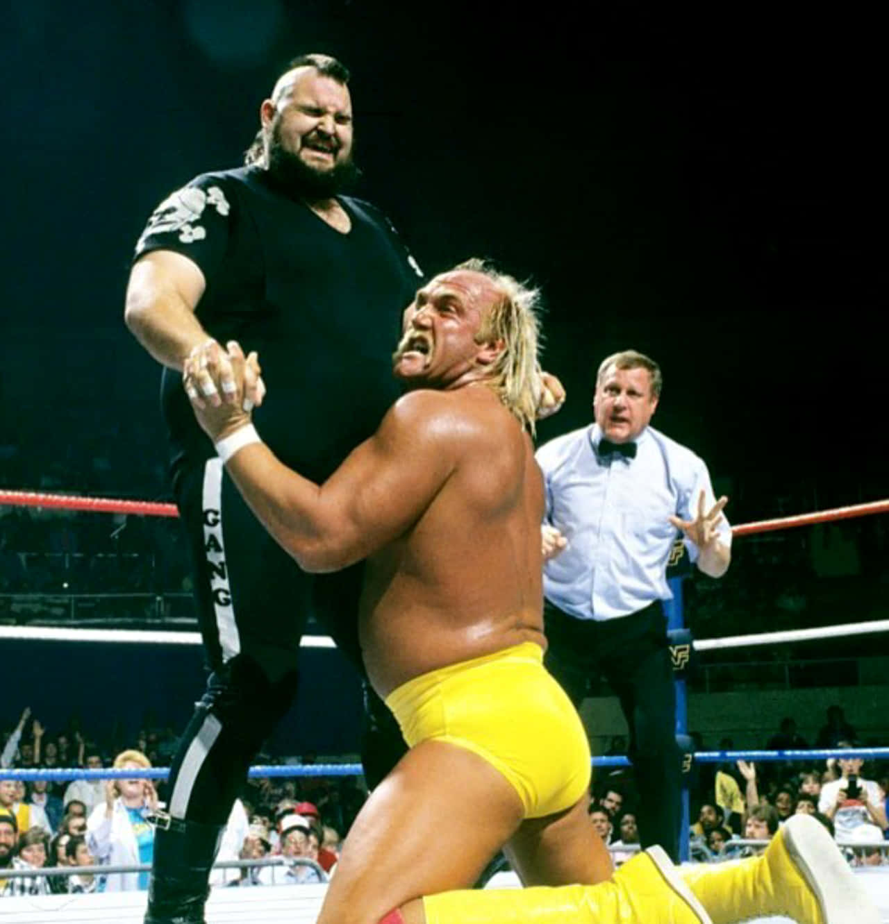 En mand flok kæmper med Hulk Hogan Maleri Wallpaper
