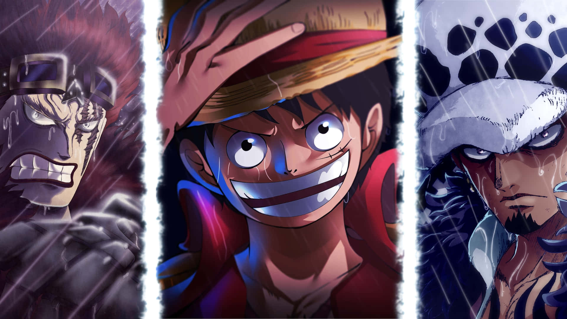 Collagede Personajes De One Piece 5k Fondo de pantalla