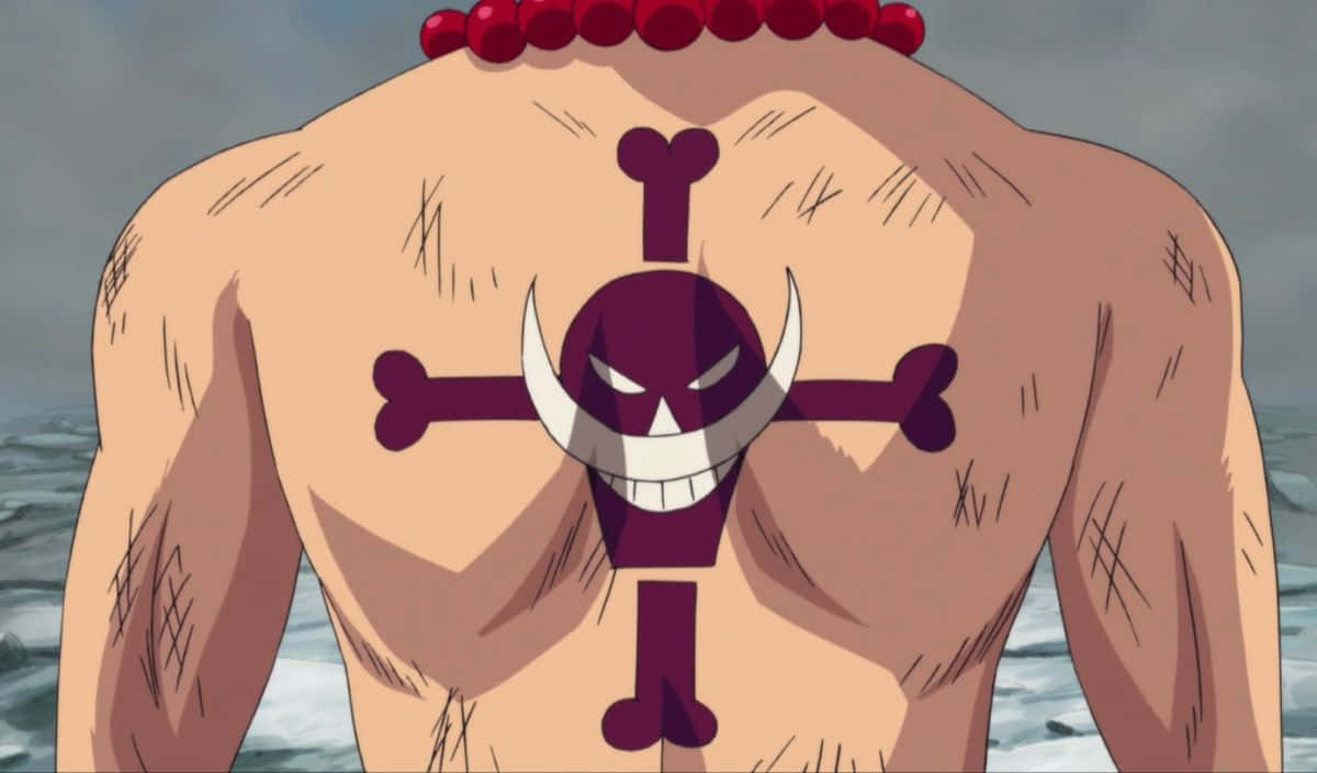 Ace ASCE tattoo explained  One Piece  Noobie Explained  YouTube
