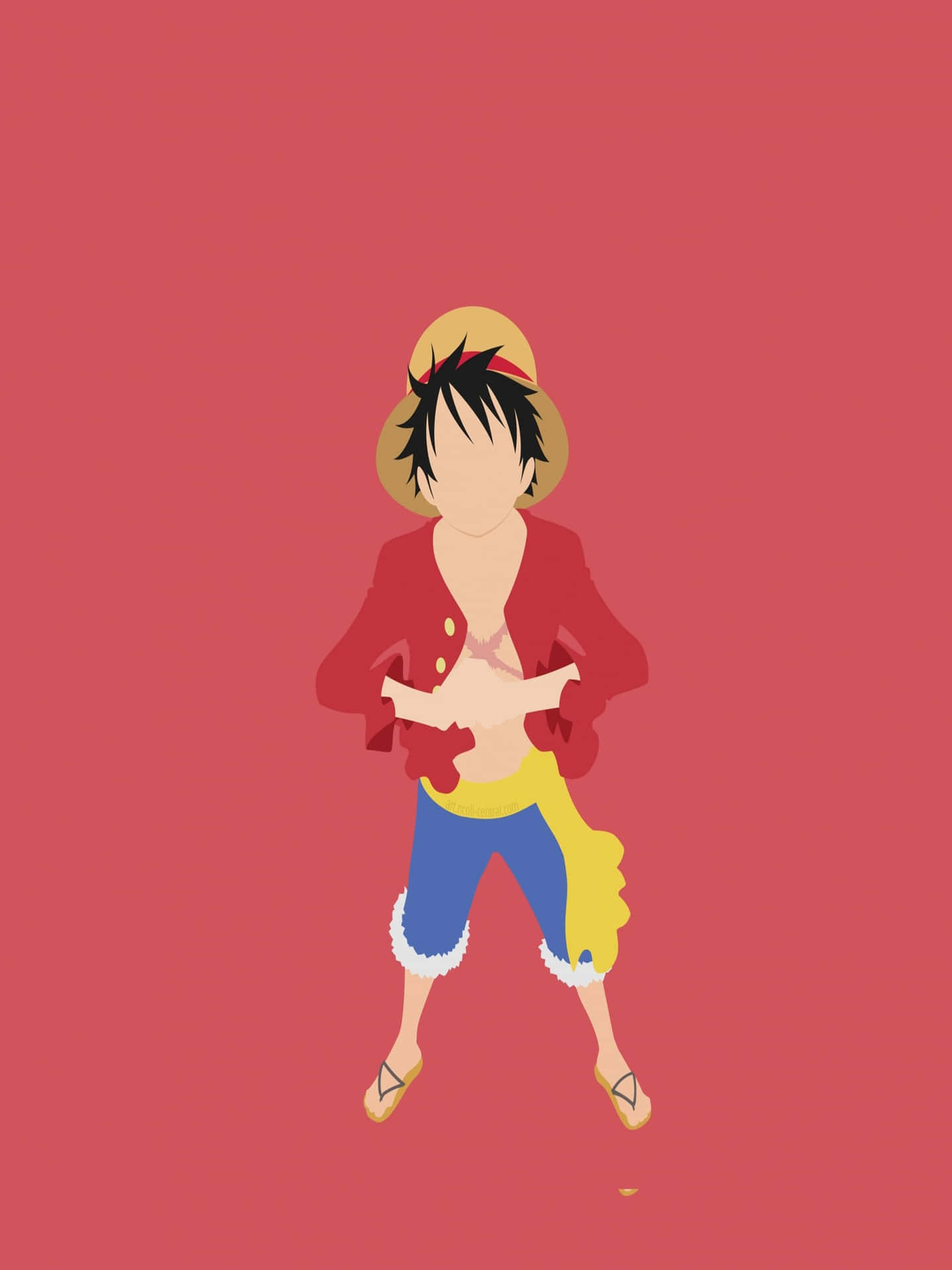 One Piece Anime Character Illustration Wallpaper
