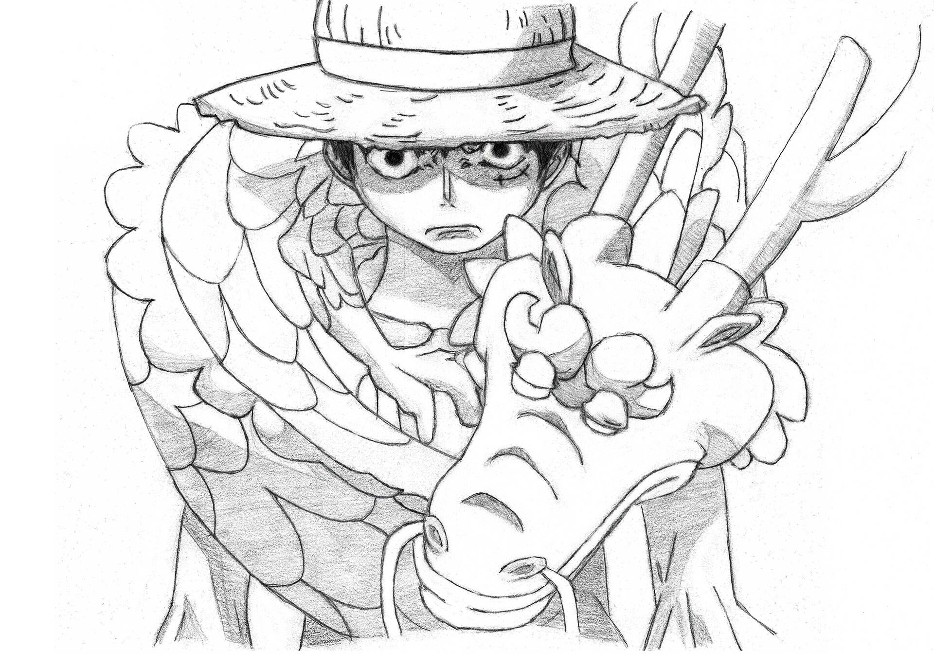 Drawing One Piece Characters | TikTok-tmf.edu.vn