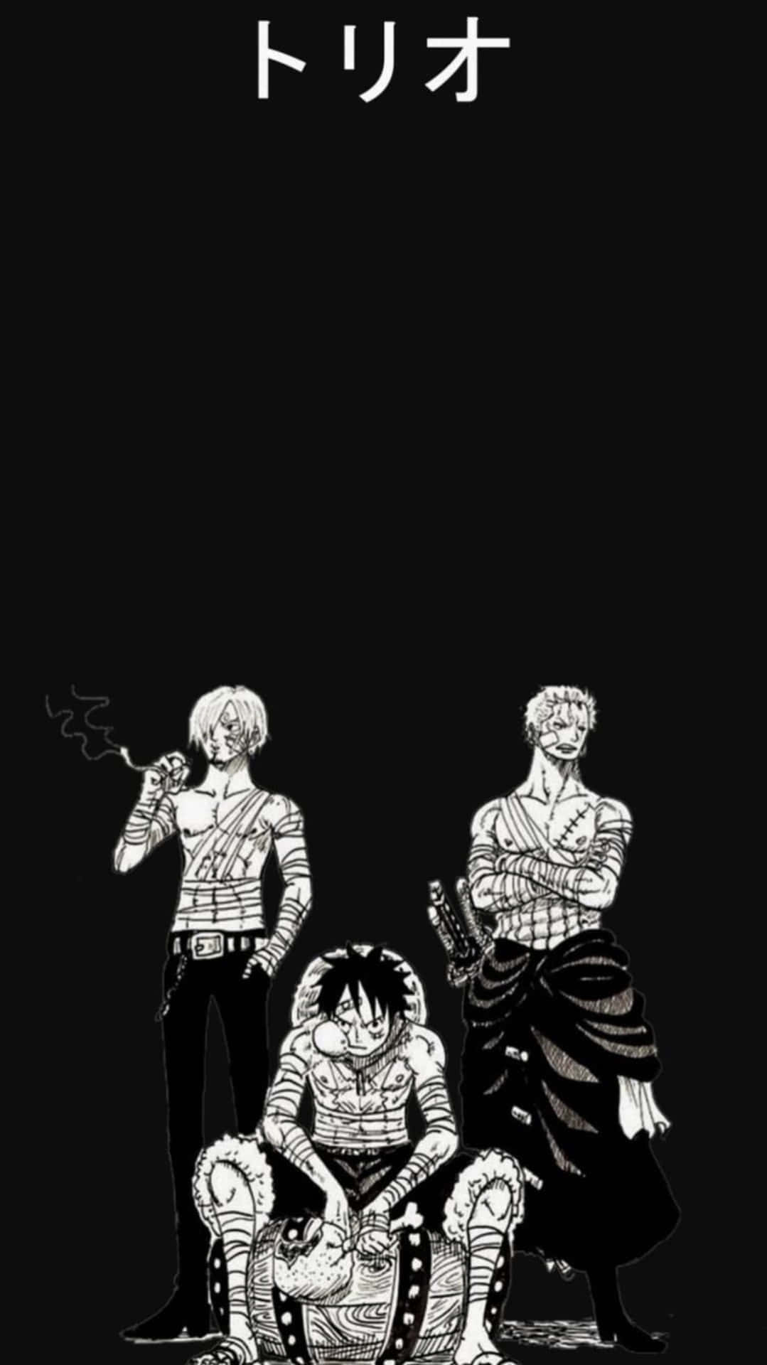 One Piece Black And White With Zoro And Sanji Wallpaper
