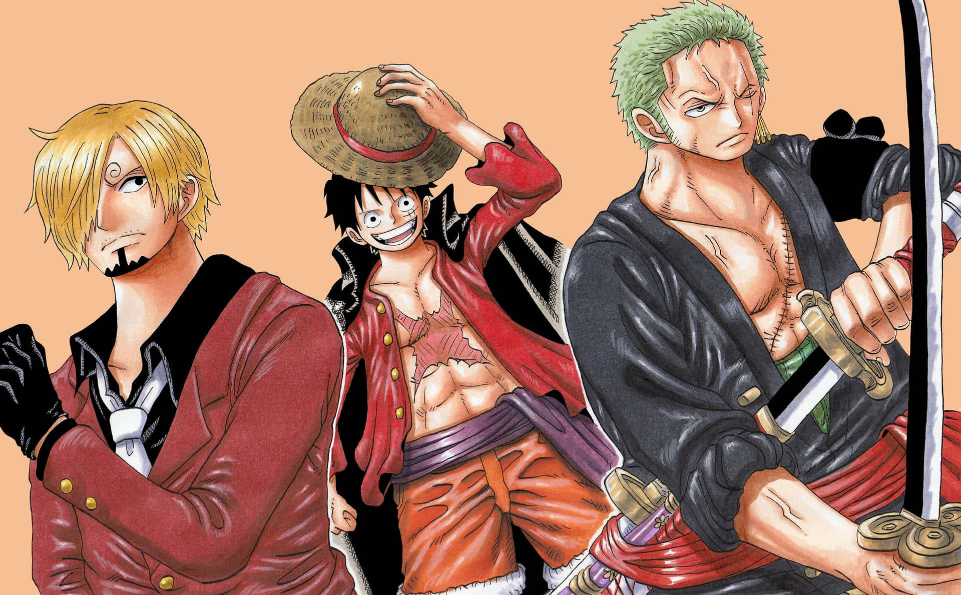 One Piece Characters in Action Wallpaper