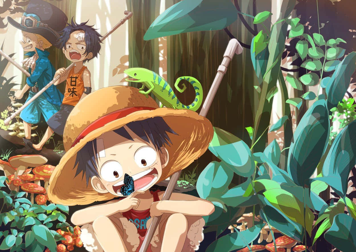 One Piece Chibi Luffy Ace And Sabo Wallpaper