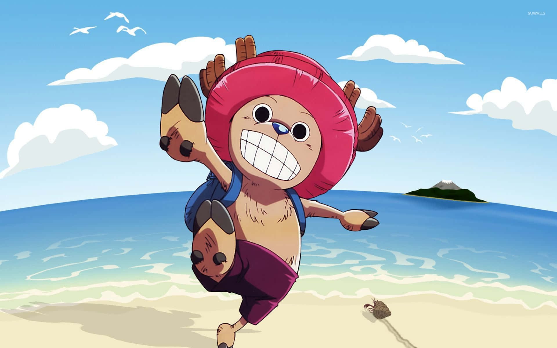 100+] One Piece Chopper Wallpapers