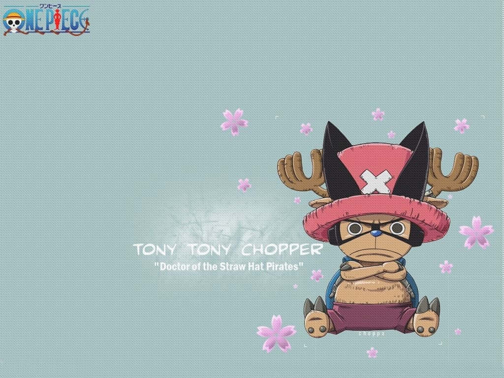 Doctor Of Straw Hat Pirates One Piece Chopper Wallpaper