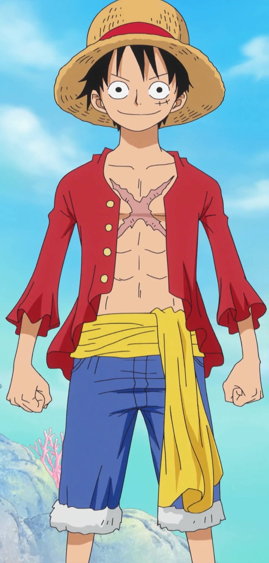 One Piece Iphone Luffy Body Portrait