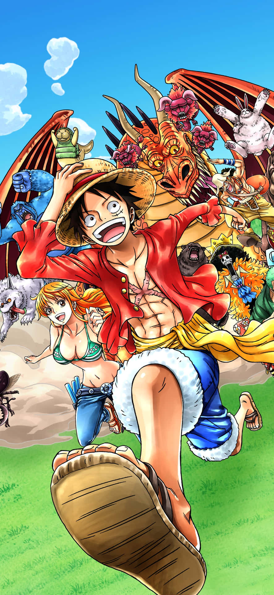 Pirate Crews And One Piece Luffy Iphone Background