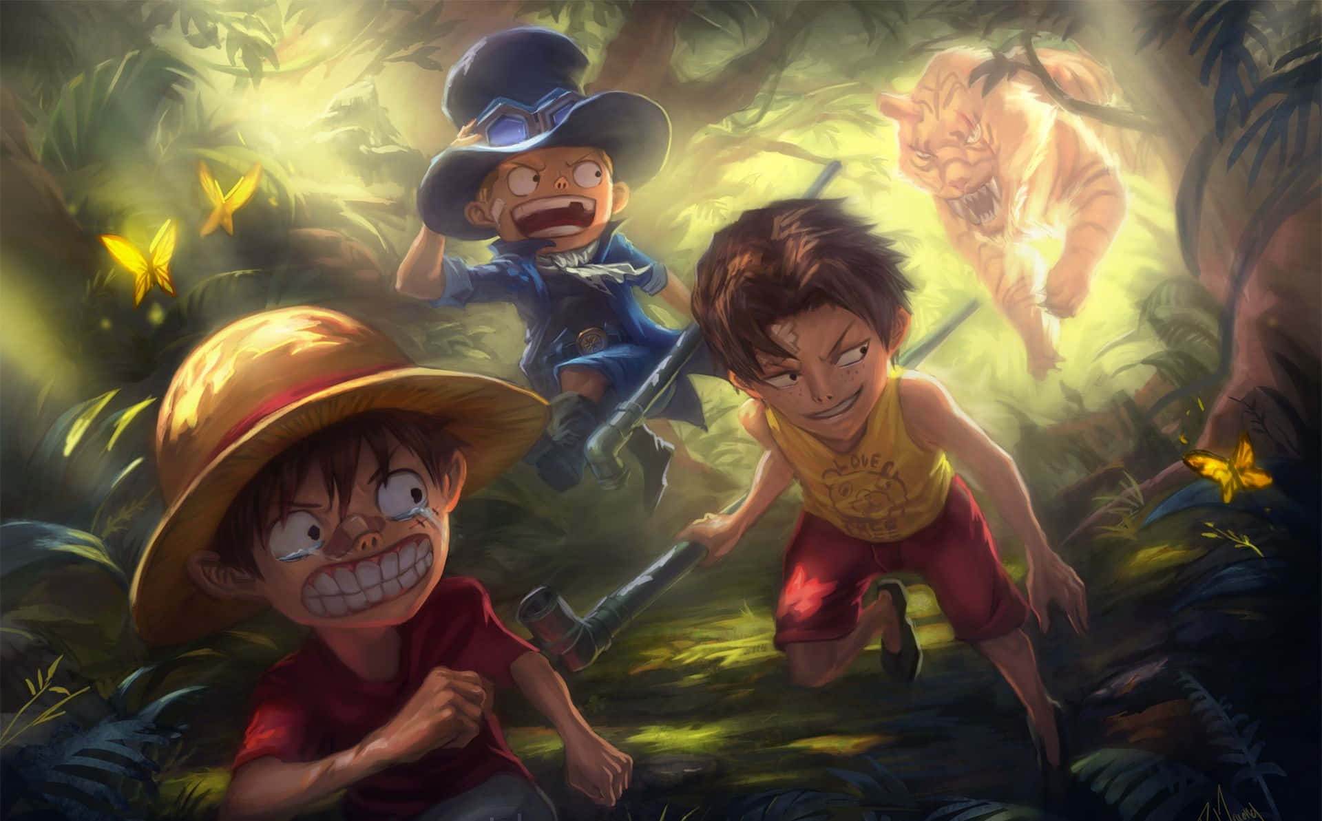One Piece Ace Sabo Luffy Fanart Picture