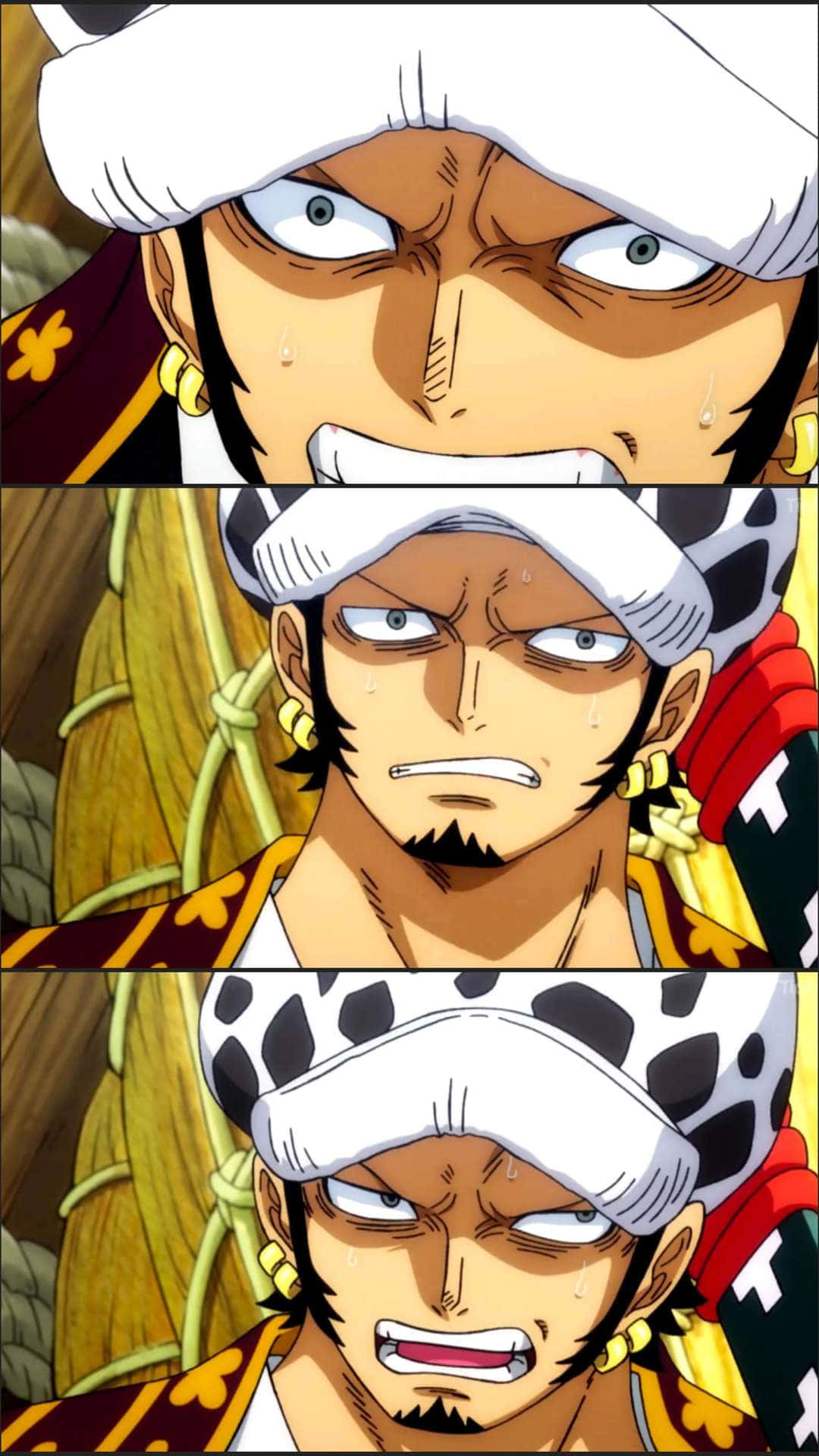 Trafalgar D. Water Law of the One Piece Pirates Wallpaper