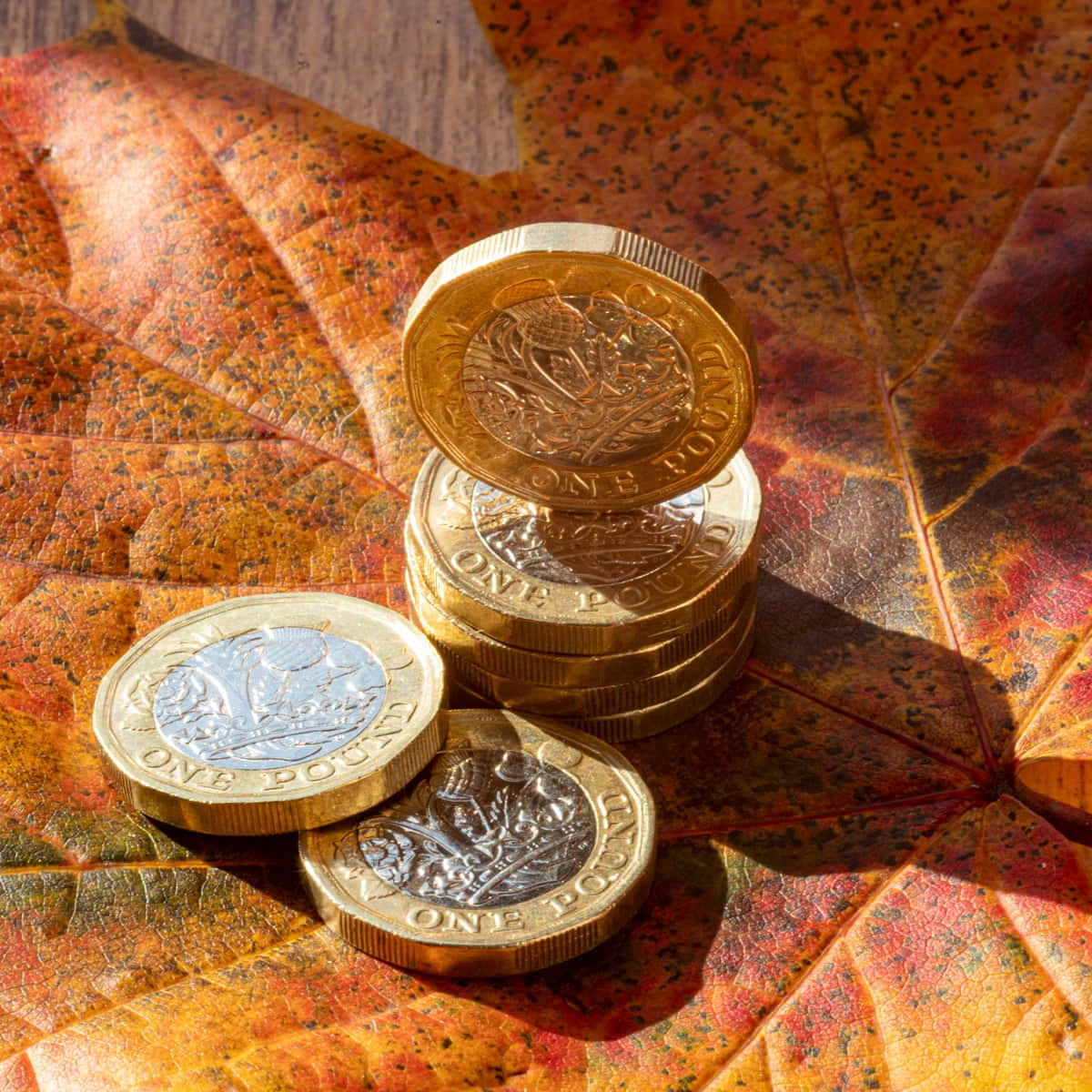One Pound Coins Wallpaper