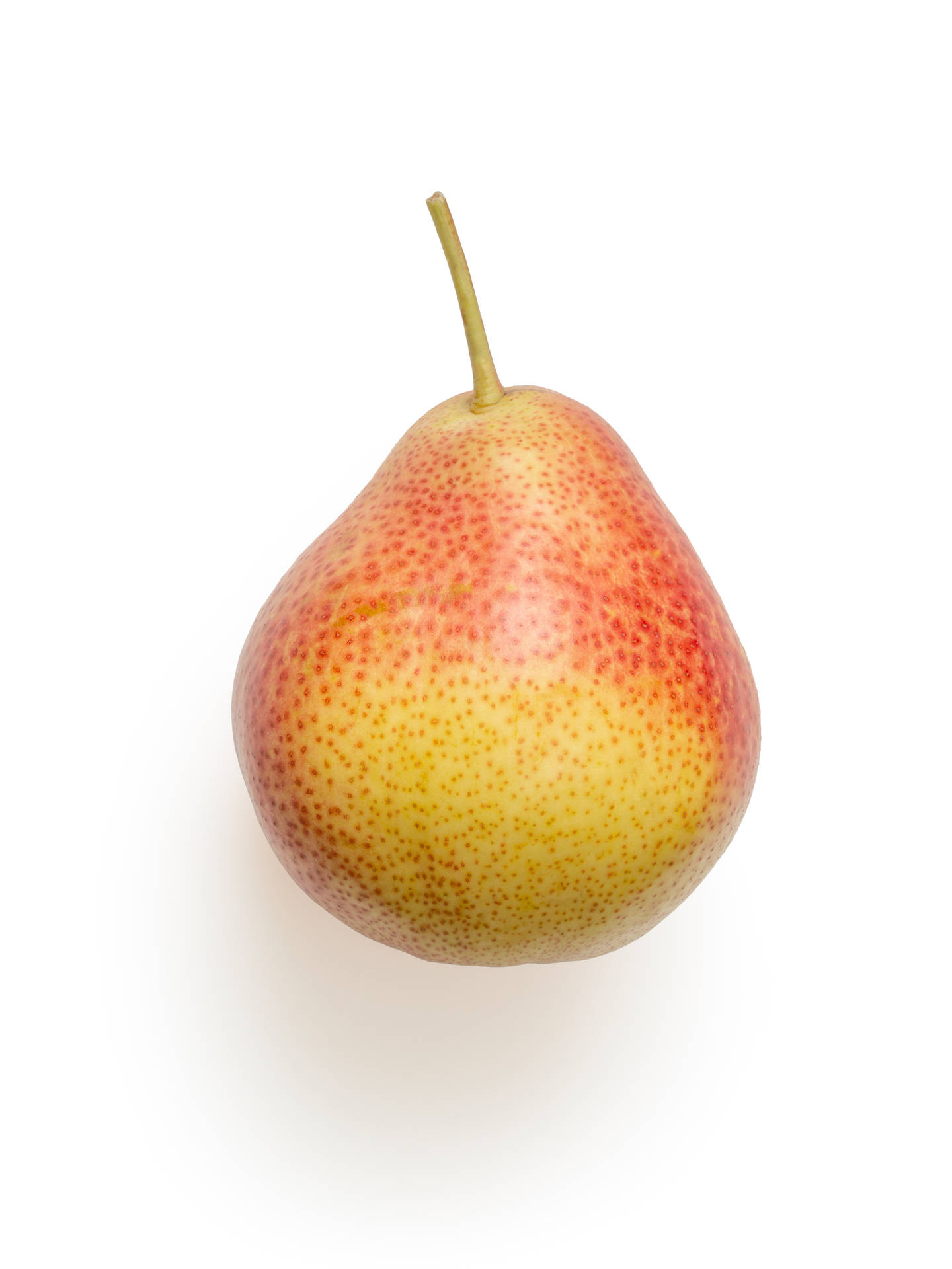 One Reddish Pear Wallpaper