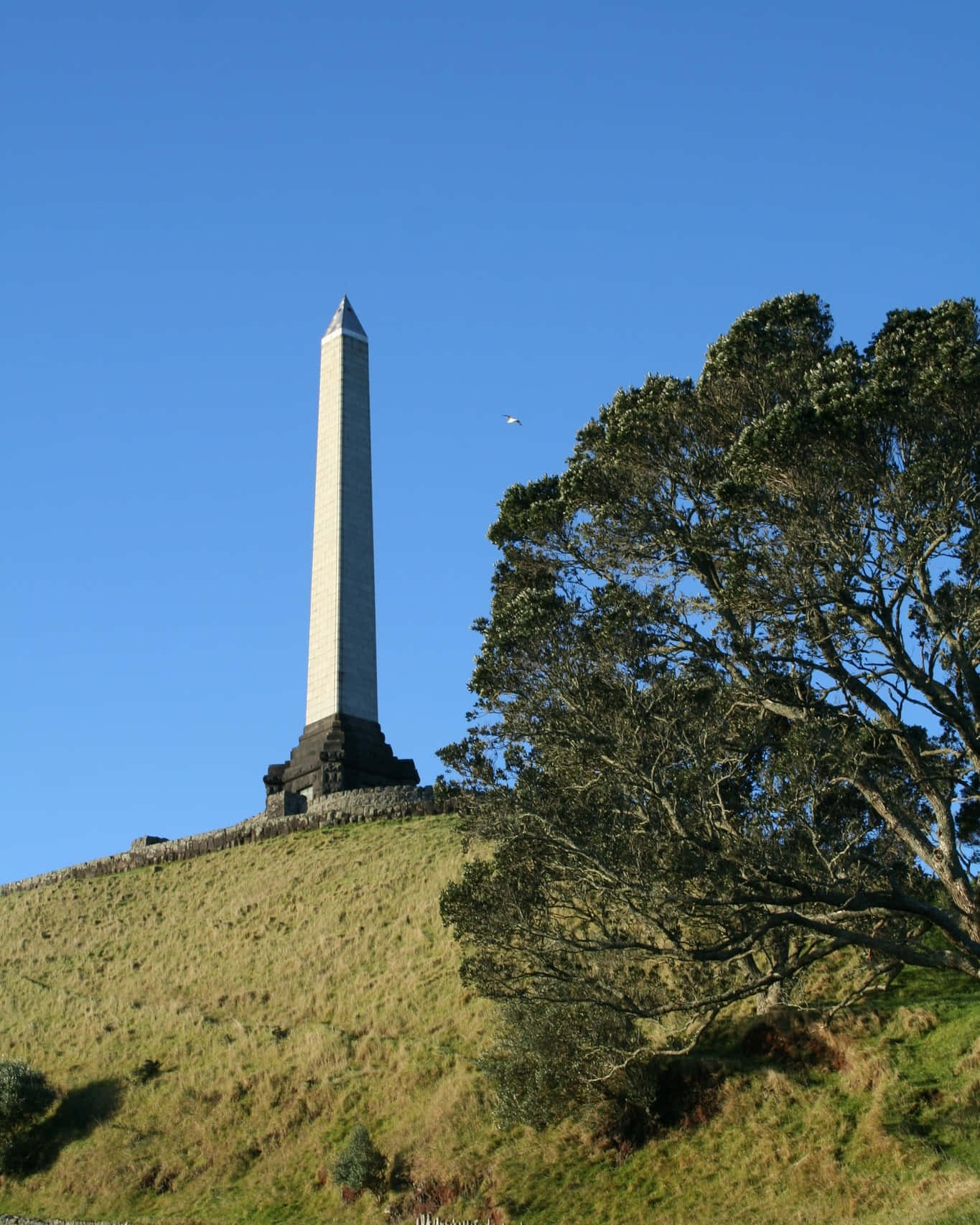 One Tree Hill Auckland Monument Wallpaper