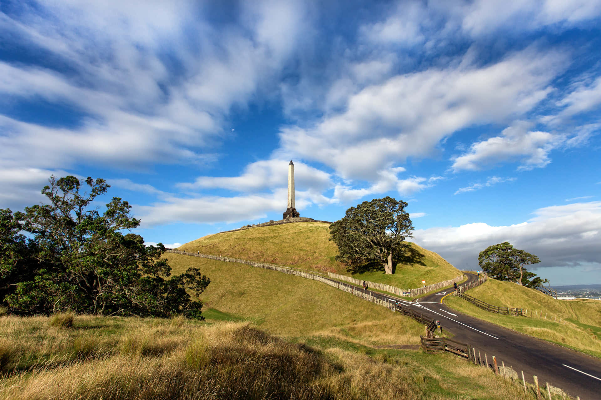 One Tree Hill Monument Auckland Achtergrond