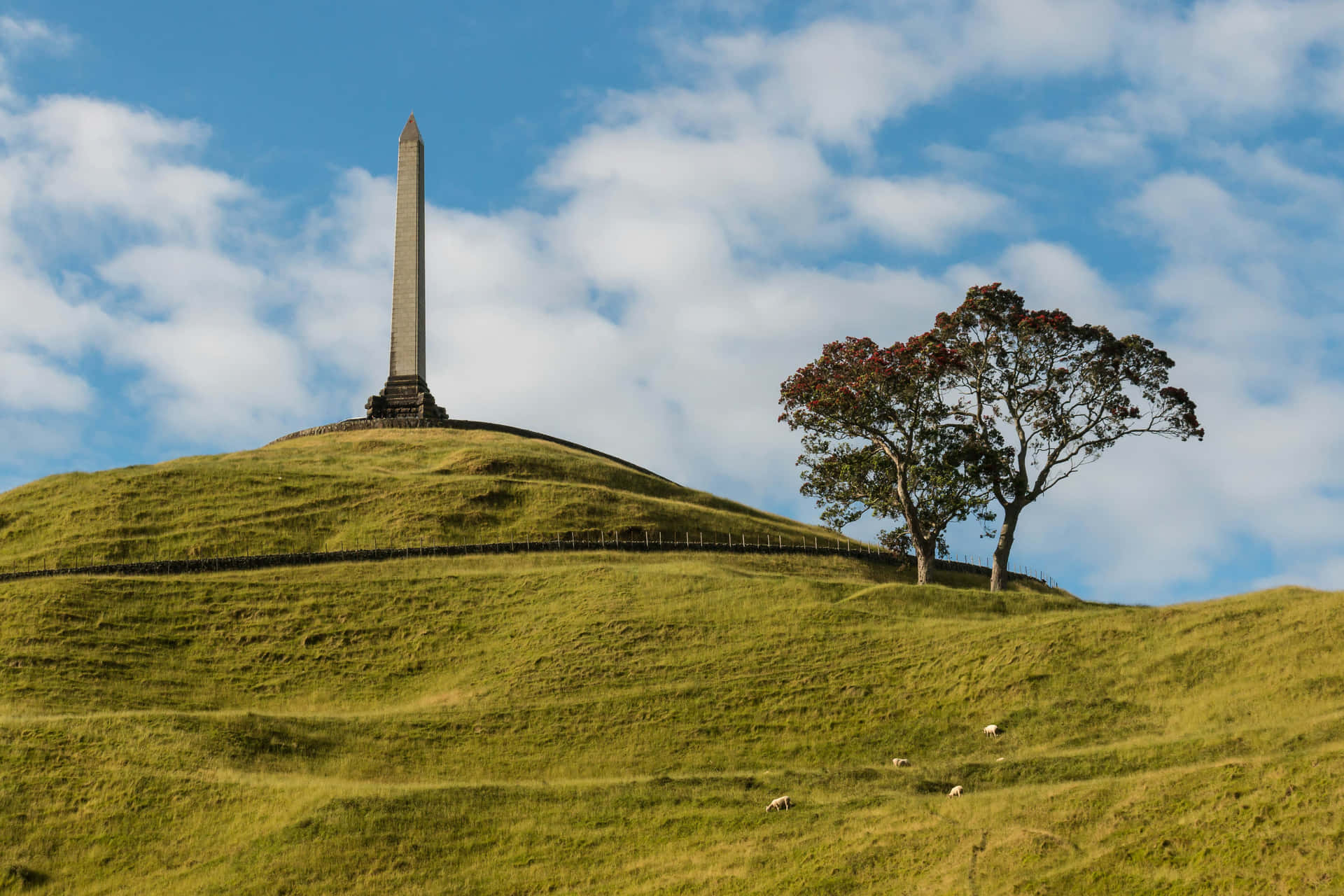 One Tree Hill Monument Auckland Achtergrond