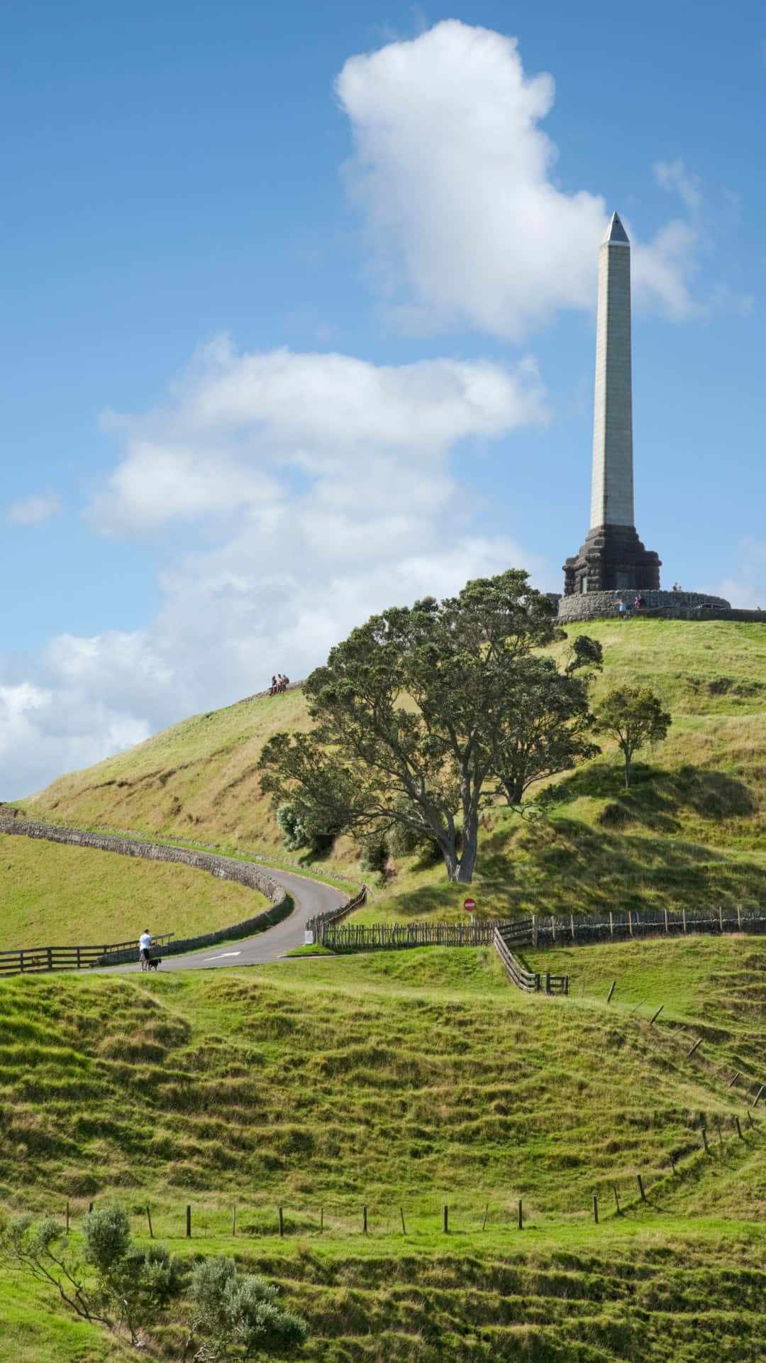 One Tree Hill Monument Auckland Achtergrond