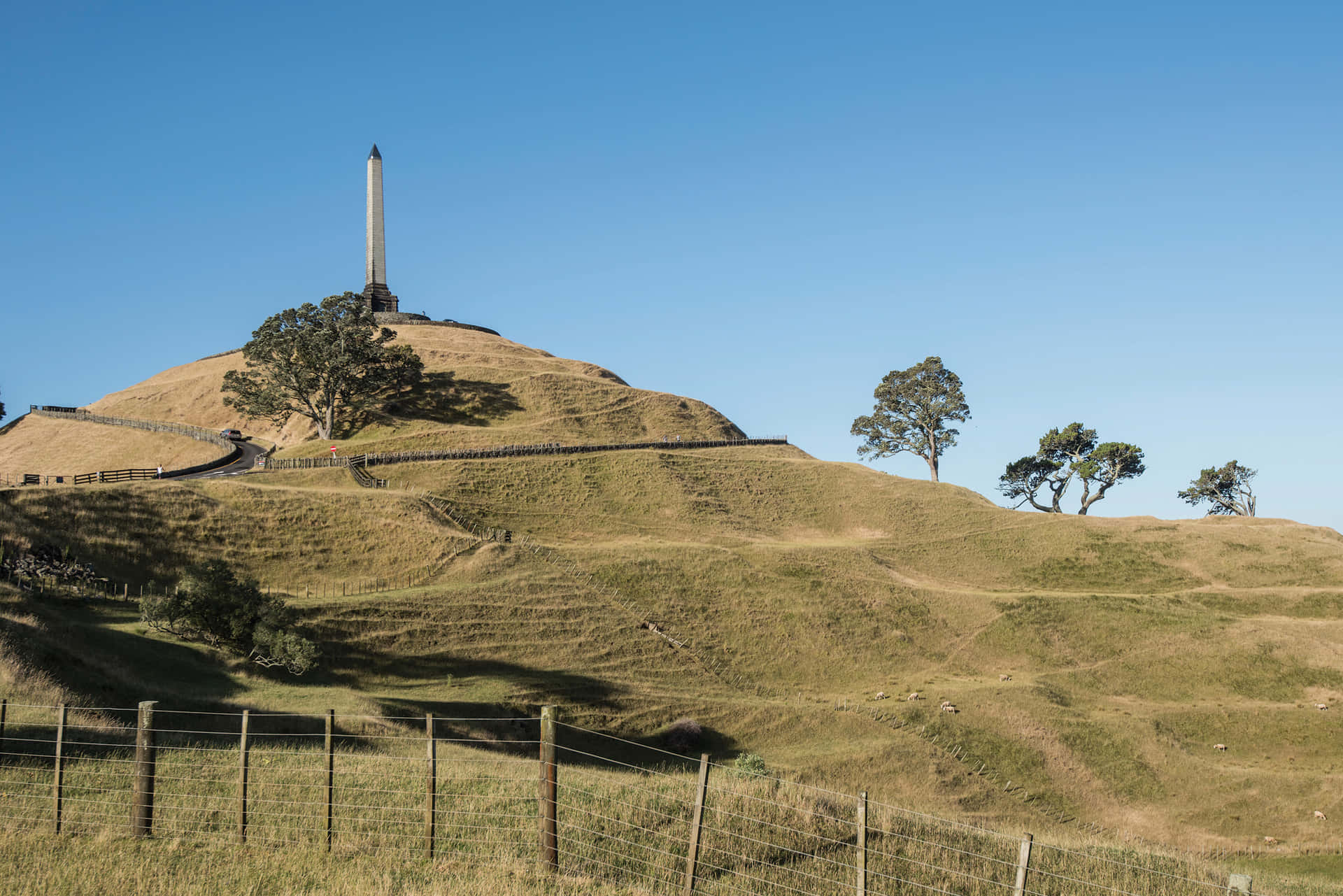 One Tree Hill Monument Auckland Wallpaper