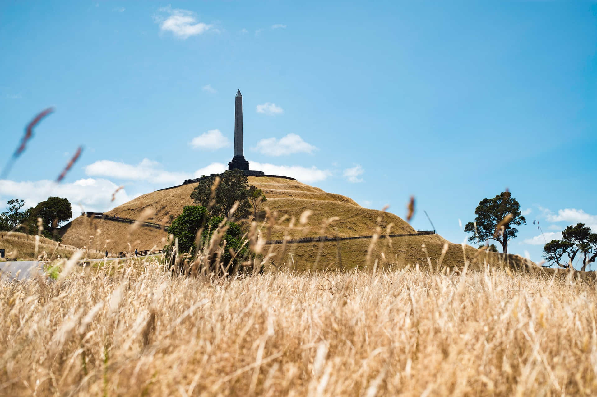 One Tree Hill Monument Auckland Wallpaper