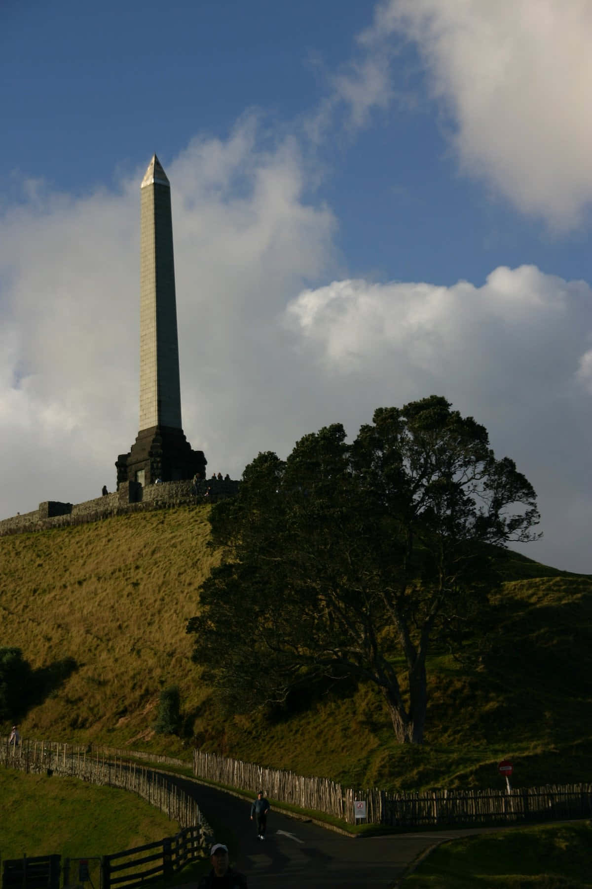 One Tree Hill Monument Auckland Achtergrond