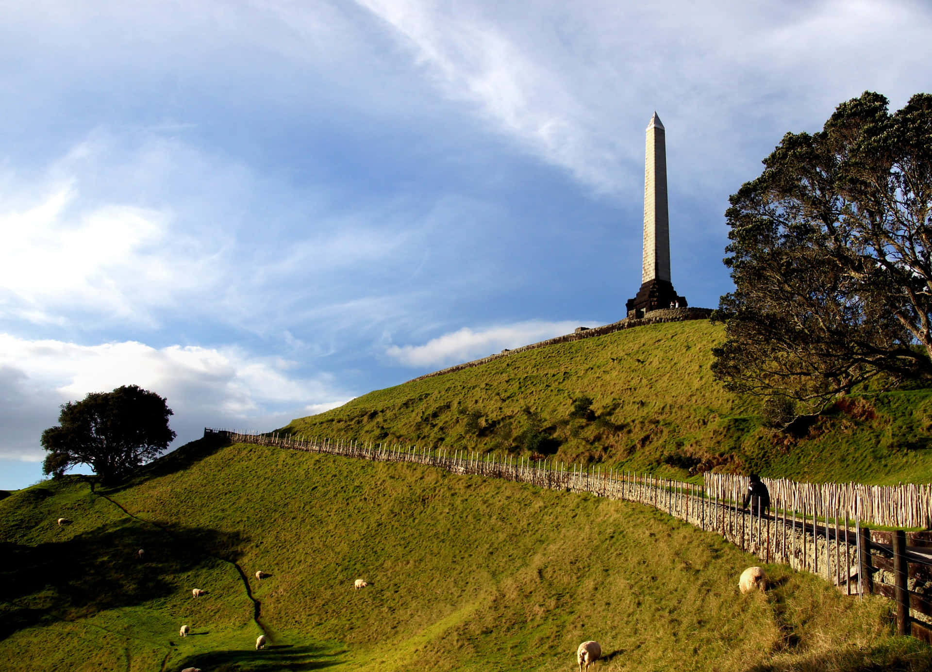 One Tree Hill Monument Auckland Achtergrond