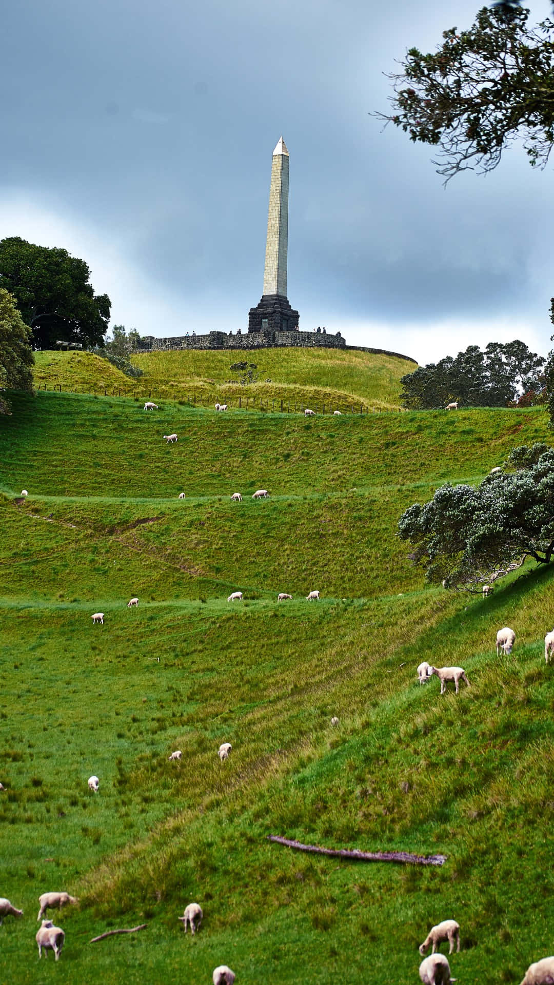 One Tree Hill Monument Auckland Wallpaper