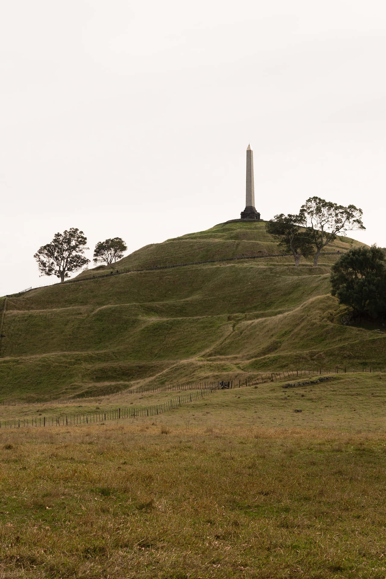 One Tree Hill Monument Auckland Achtergrond